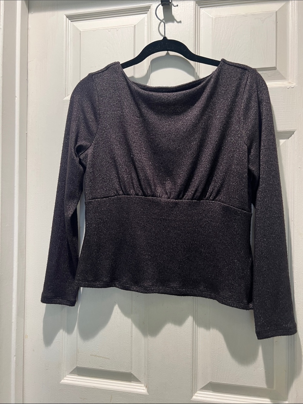 Banana Republic Shimmery Dark Purple Long-Sleeve Crewneck Top